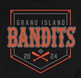 Bandits Hooded Sweatshirts with Name&Number: You choose style Youth & Adult