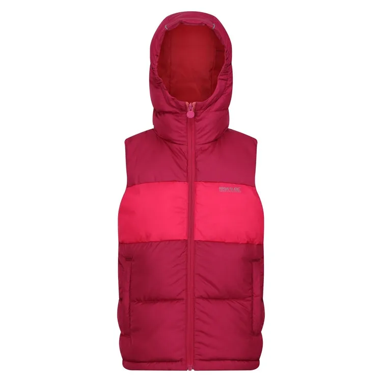 Regatta Lofthouse Bodywarmer